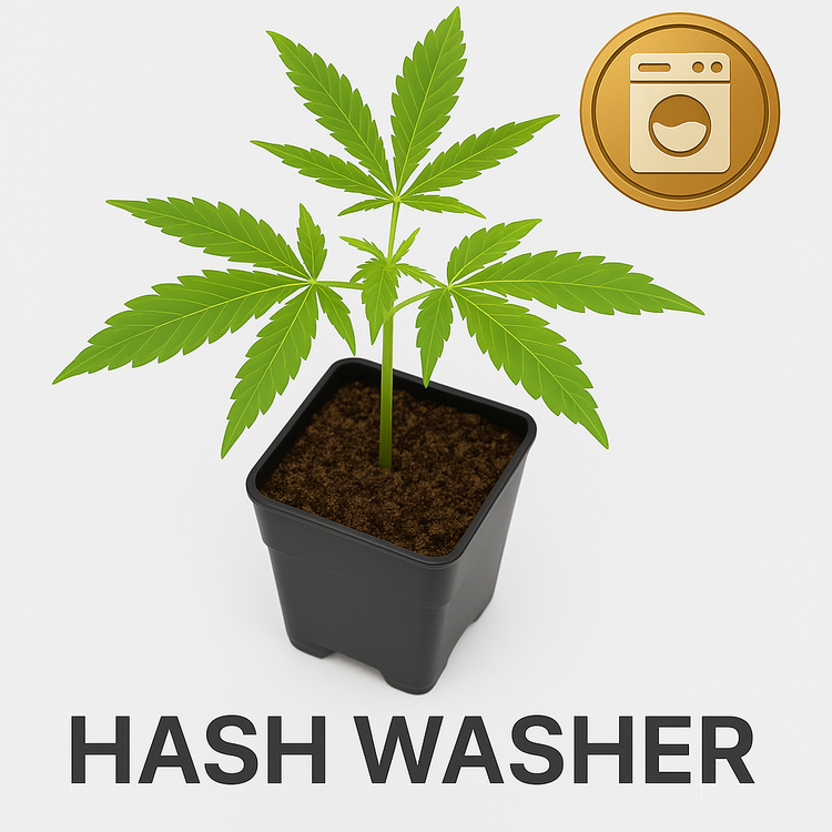 Hash Washers